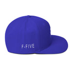 Fv Painted Snapback Hats
